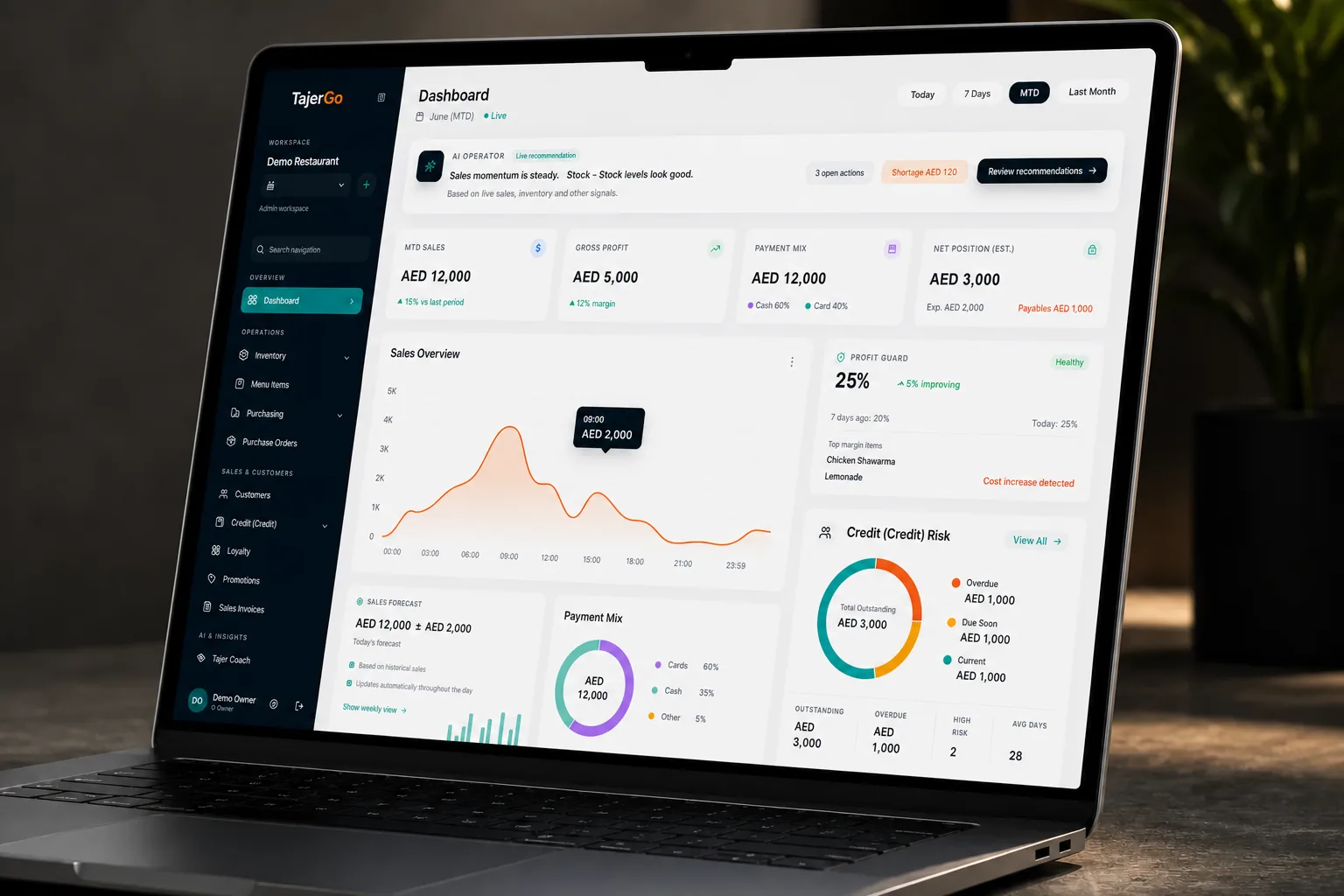 Sanitized TajerGo owner dashboard with demonstration sales summaries, branch filters and operating charts